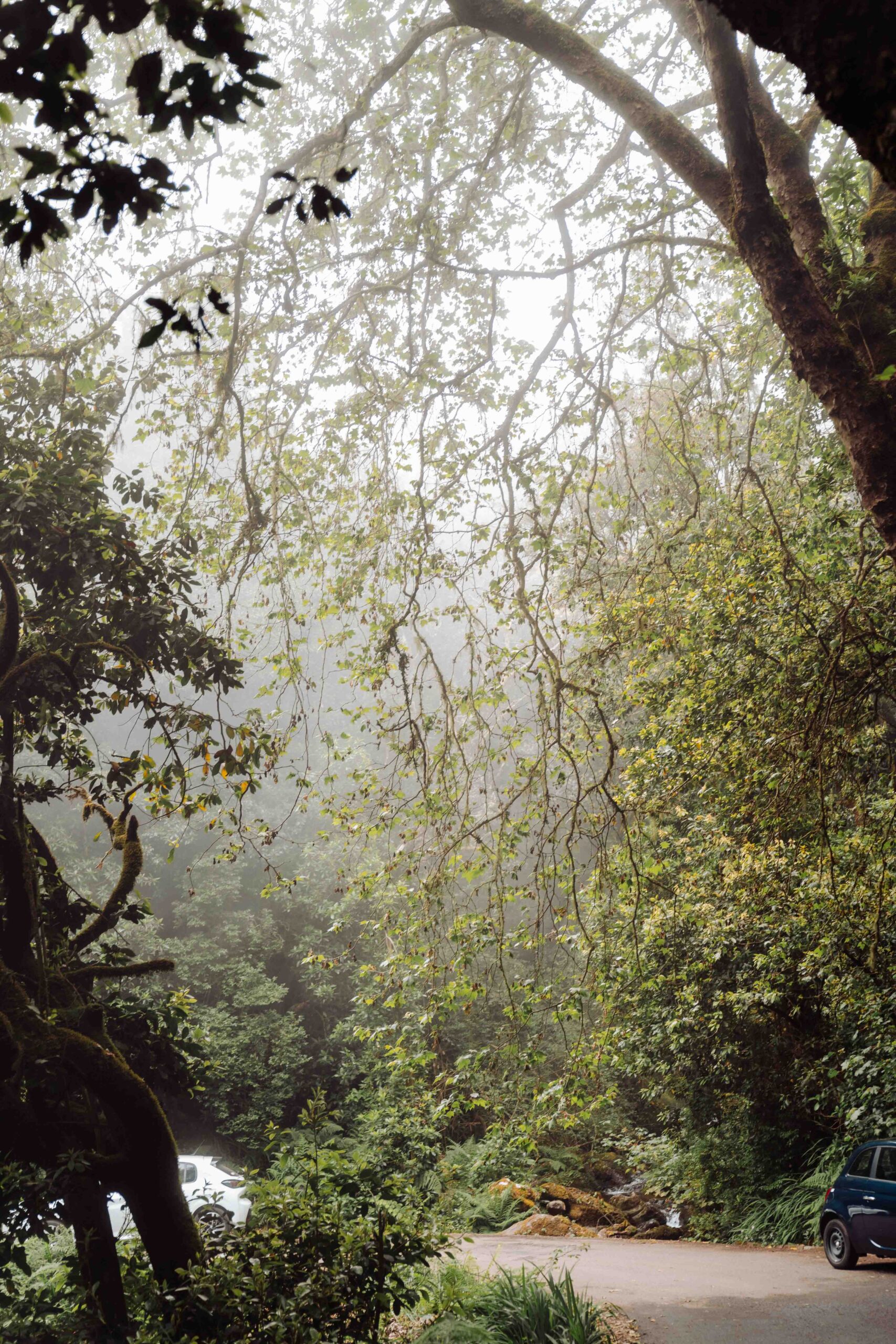 Madeira